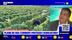 Plaine du Var: concilier l'exploitation agricole et les nouvelles constructions