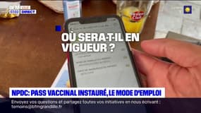 Nord-Pas-de-Calais: le pass vaccinal entre en vigueur ce lundi