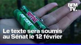 L'Assemblée nationale a voté à l'unanimité l'interdiction des puffs 