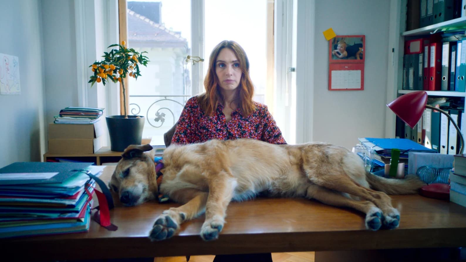 Laetitia Dosch dans "Le Procès du chien" Laetitia Dosch dans "Le Procès du chien"