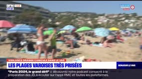 Canicule: les plages varoises très prisées par les vacanciers