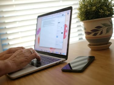 Avec la propagation du variant Delta, les adeptes du télétravail sont confortés dans l'idée que ce mode de vie s'impose désormais "naturellement".