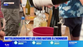 À la découverte des vins nature à Mittelbergheim, mis à l'honneur lors d'un salon
