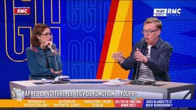 Des "TGV de fonction" : "On est dans un monde d'enfant gâté", souffle Antoine Diers
