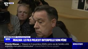 "Nous sommes toujours à la recherche de la vérité": Les deux fils et la fille du couple Pelicot ont témoigné au procès des viols de Mazan