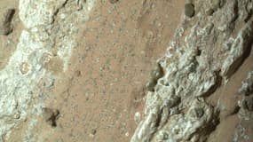 Les morceaux de roches colorées et tachetées prélevées à la surface de Mars en juillet 2024 par le rover Perseverance