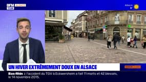 Un hiver extrêmement doux en Alsace