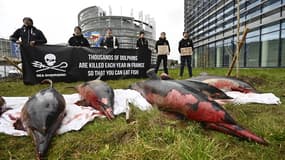 Des membres de l'ONG Sea Sheperd exposent des dauphins mutilés devant le Parlement européen le 14 mars 2023