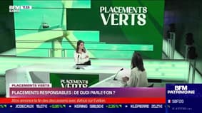 Placements verts : Placements responsables, de quoi parle-t-on ? - 29/03