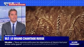 La Russie accusée de voler du blé en Ukraine pour le vendre