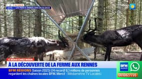 C beau chez nous: à la découverte de la Ferme aux rennes à Stosswihr
