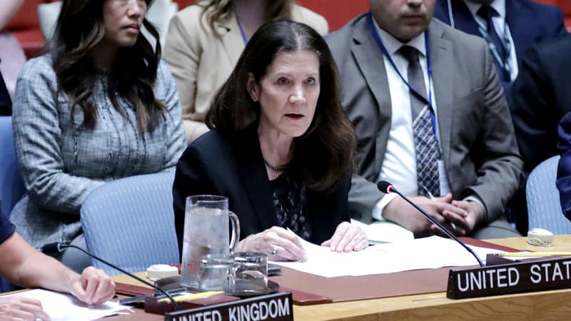Gaza: les États-Unis mettent à nouveau leur veto à un appel au cessez-le-feu du Conseil de sécurité de l'ONU
