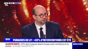 Punaises de lit: "Il faut qu'on puisse imposer le fait d'entrer dans les logements pour les traiter", estime Ludovic Mendes (Renaissance)