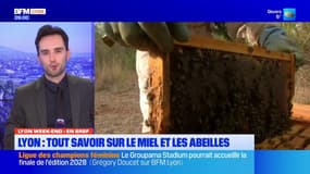 Miel, randonnée, crêpes... Les idées de sortie de Lyon Week-end