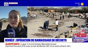 Marseille: 200 kilos de déchets ramassés en 1h sur l'escale Borély