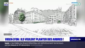 Vieux-Lyon: un collectif de riverains pousse pour végétaliser le quartier