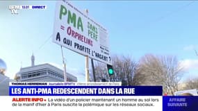 À Paris, les anti-PMA redescendent dans la rue