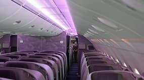 Les voyageurs d'affaires représentent 30% des passagers et 50% du chiffre d'affaires des compagnies aériennes américaines