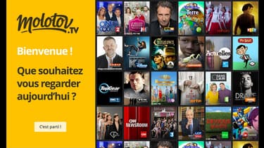 Le service propose les programmes de toutes les chaînes gratuites avec une interface de type Netflix