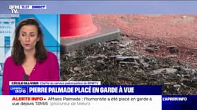 Pierre Palmade: les chefs d'accusation d'homicide et de blessures involontaires par conducteur sous l'emprise de stupéfiants retenus