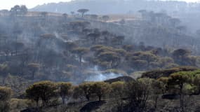 La nature brûlée près de Ramatuelle, dans le Var, le 25 juillet. 