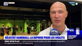 Sélestat Handball: la reprise pour les violets
