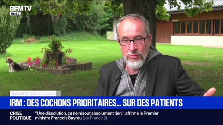 Strasbourg: des cochons prioritaires pour des IRM face à des patients cancéreux, une enquête interne ouverte