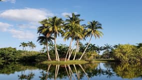 Français de l'étranger : Stephane à Coconut Grove