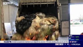 Impact: Moulinot valorise les déchets alimentaires, par Cyrielle Hariel - 01/02
