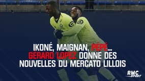 Ikoné, Pépé, Maignan... Lopez donne des nouvelles du mercato lillois
