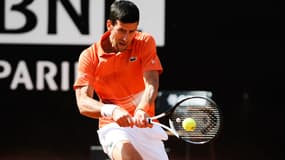 N. Djokovic