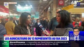 Salon de l'Agriculture: venir en aide aux producteurs locaux