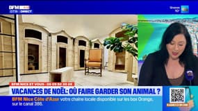 BFM Nice et vous : où faire garder son animal pendant les vacances ?