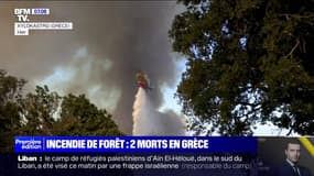 En Grèce, un incendie de forêt fait deux morts à Xylokastro