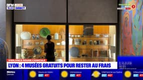 Lyon: quatre musées gratuits pour rester au frais pendant la canicule