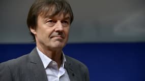 L'écologiste Nicolas Hulot, le 10 décembre 2015 à Paris.