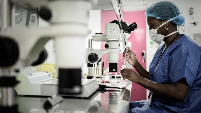 Une membre de l'équipe du CECOS de l'hôpital Tenon à Paris en septembre 2019.