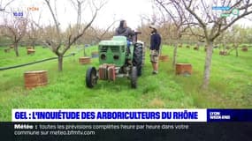 Gel et neige: l'inquiétude des arboriculteurs du Rhône