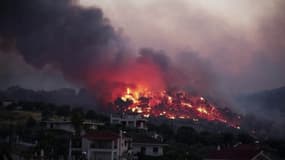 De violents incendies de pinèdes ravagent le sud de la Grèce