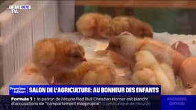 Salon de l'agriculture: le bonheur des enfants devant les stands animaliers