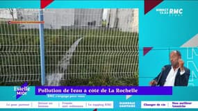 RMC s’engage pour vous : Pollution de l'eau à côté de La Rochelle - 30/08
