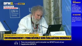 Environnement: "La biodiversité se perd, la pollution augmente", alerte l'ONU