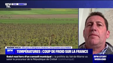 Jérôme Volle (viticulture en Ardèche et président de la FNSEA) sur la vague de froid: "Pratiquement la moitié des arboriculteurs n'ont pas les moyens financiers de se protéger"
