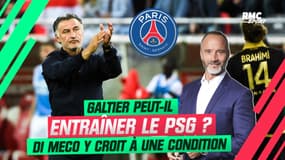 Mercato : Galtier peut-il entraîner le PSG ? Di Meco y croit à une condition