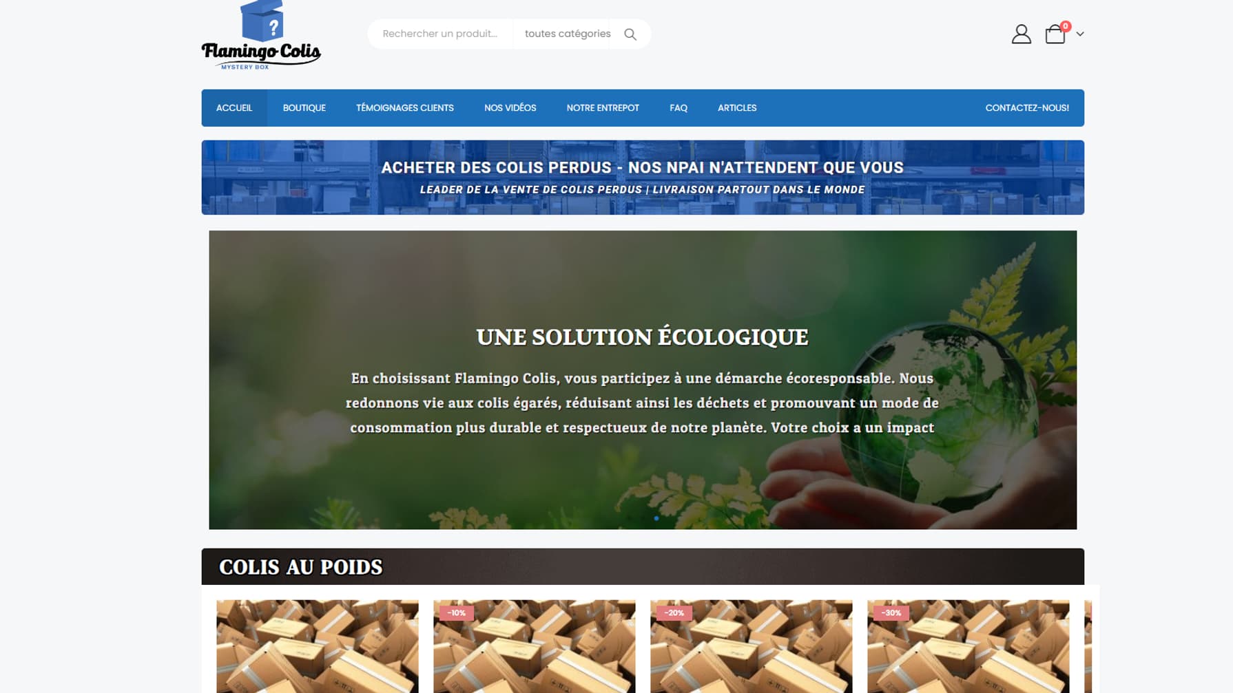 Page d'accueil du site flamingocolis.com