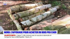 Camphin-en-Carembault: la ville propose aux habitants de couper des arbres pour leur vendre à petits prix