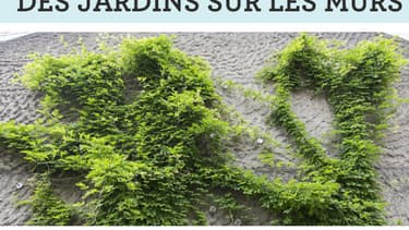 Les votants ont été particulièrement enthousiasmés par le projet de jardins sur les murs de Paris, qui a récolté plus de 20.000 votes.