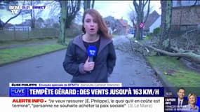 Tempête Gérard: des vents jusqu'à 163 km/h dans la Manche ont provoqué la chute d'arbres