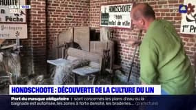 Nord: à la découverte de la culture du Lin, une des spécialités des Hauts-de-France
