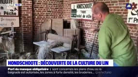 Nord: à la découverte de la culture du Lin, une des spécialités des Hauts-de-France